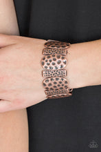 Cargar imagen en el visor de la galería, Cave Cache
